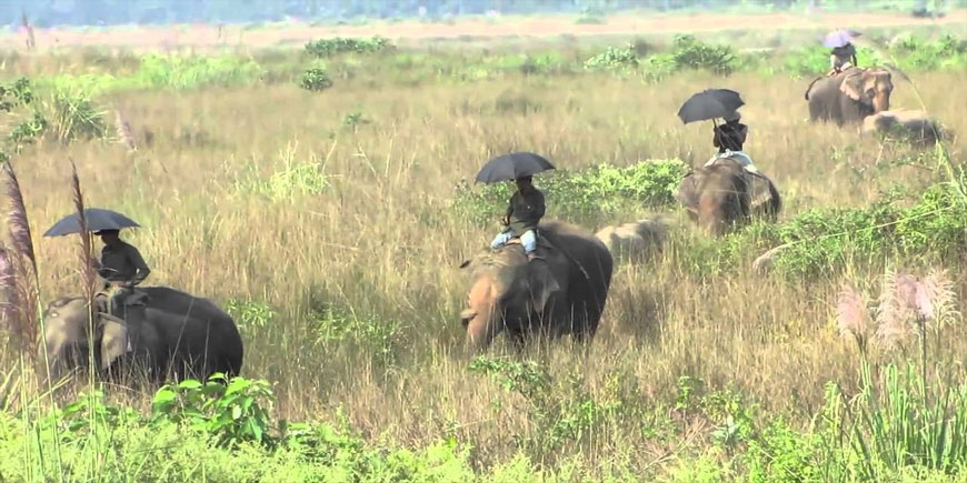 Kathmandu, Pokhara, Chituwan Park Tour 
